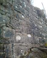 shannonbridge cap-1813.jpg